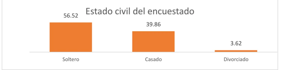 Gráfico 7. Datos del encuestado. Formación académica .