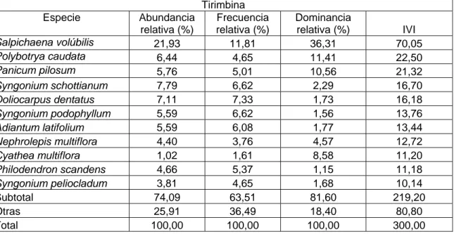 Cuadro 4 Índice de Valor de Importancia para las especies más importantes en Tirimbina  Tirimbina  Especie Abundancia  relativa (%)  Frecuencia relativa (%)  Dominancia relativa (%)  IVI  Salpichaena volúbilis  21,93 11,81  36,31  70,05  Polybotrya caudata