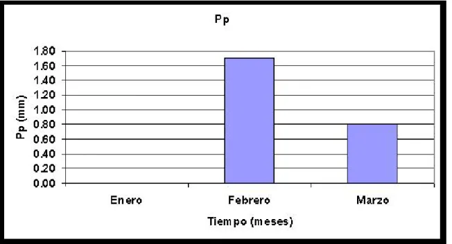 Figura Nº 29. Estación San José. Evolución de la Precipitación (Prec./mm.año -1 ),  durante el tiempo de exposición