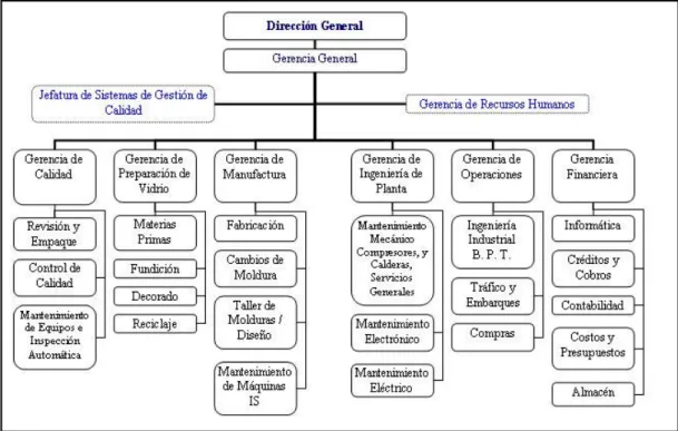 Figura No.1: Estructura organizativa de VICESA 