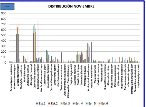 Gráfico 1. Distribución de Diatomeas noviembre  2013 en la bahía de  Anconcito. 