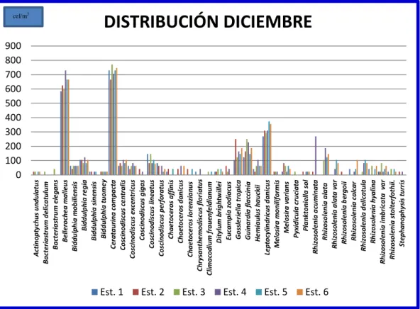 Gráfico 2. Distribución de Diatomeas Diciembre 2013 en la bahía de  Anconcito. 
