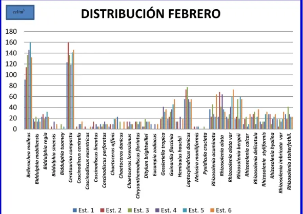Gráfico 4. Distribución de Diatomeas febrero del 2014 en la bahía de  Anconcito. 