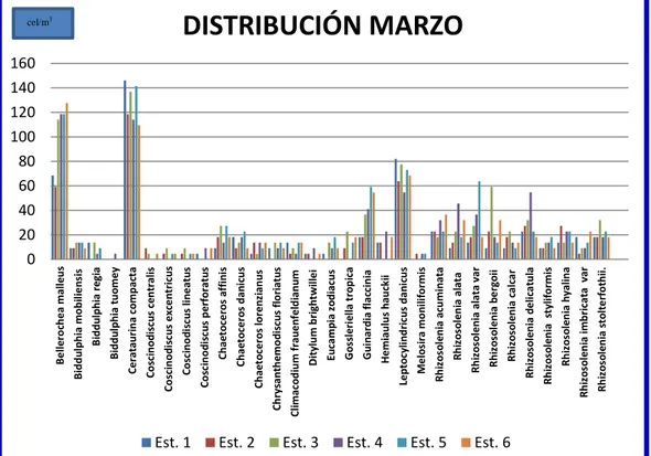 Gráfico 5. Distribución de Diatomeas marzo 2014 en la bahía de Anconcito.