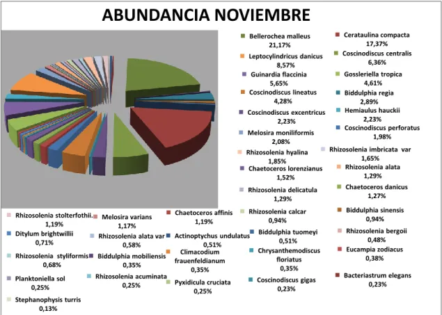 Gráfico 6. Abundancia de Diatomeas noviembre del 2013 en la bahía de  Anconcito. 