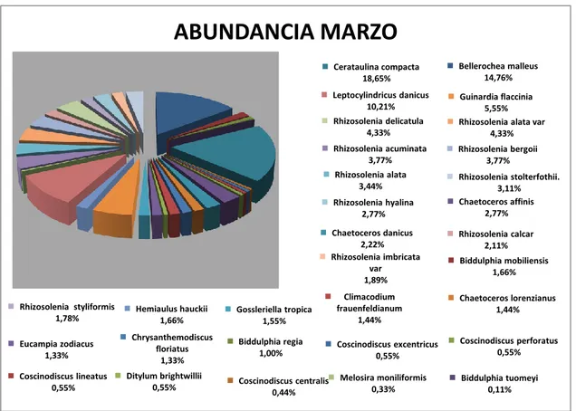 Gráfico 10. Abundancia de Diatomeas marzo 2014 en la bahía de Anconcito. 