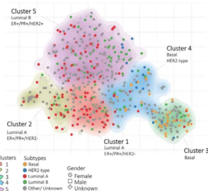 Figure 1.2: Clustering results from [43]. The method managed to divide luminal A cases into two clusters, but was unable to correctly separate HER2-type cases from basal.