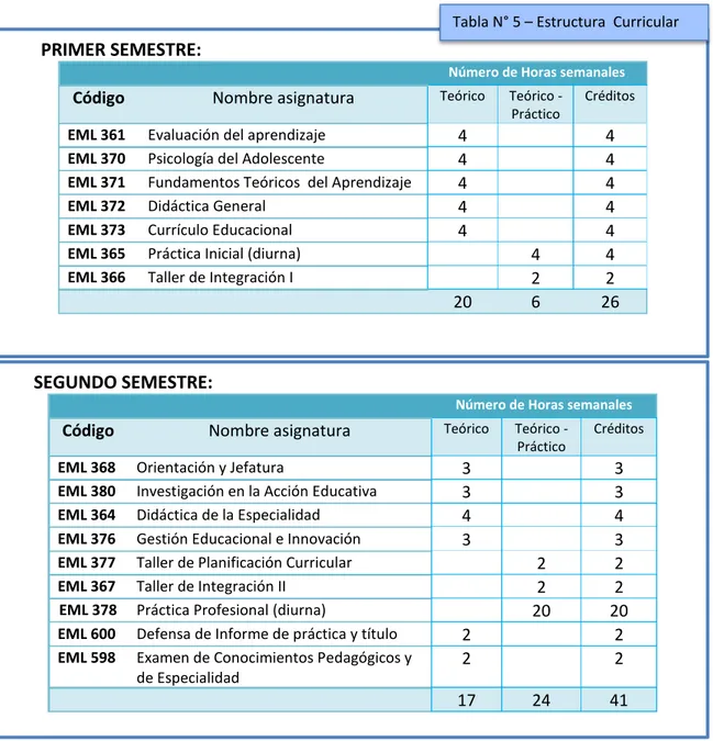 Tabla N° 5 – Estructura  Curricular 