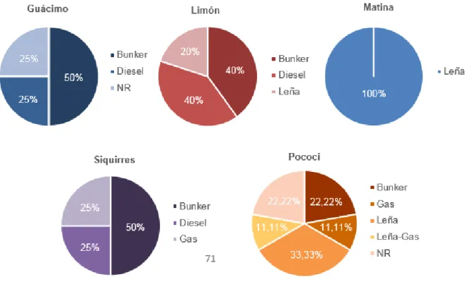 Figura 12. Distribución porcentual de las industrias según tipo de combustible  utilizado por cantón