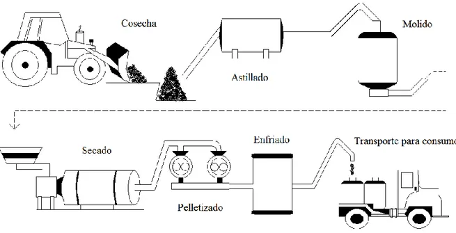 Figura 17. Esquema de producción del pellets de la empresa Agrep Forestal S.A  (Pelletics), (Aragón, 2013)