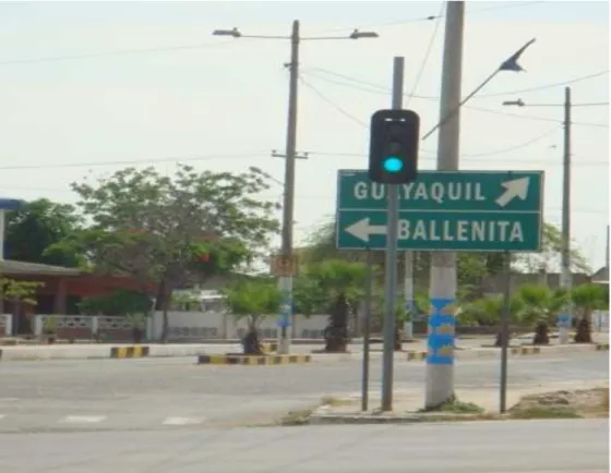 GRÁFICO 9 