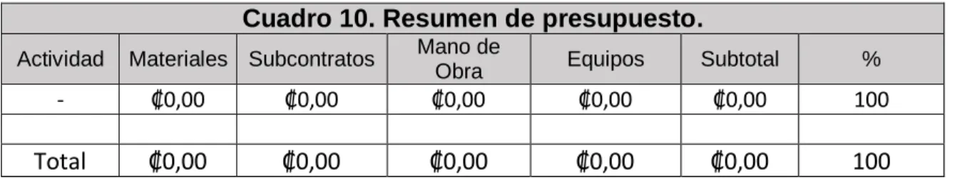 Cuadro 10. Resumen de presupuesto.