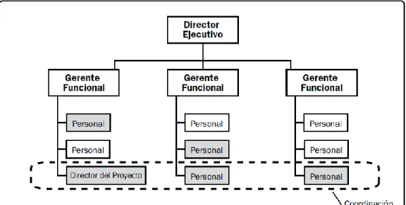 Figura 1.4: Estructura de una organización matricial equilibrada según PMI ®