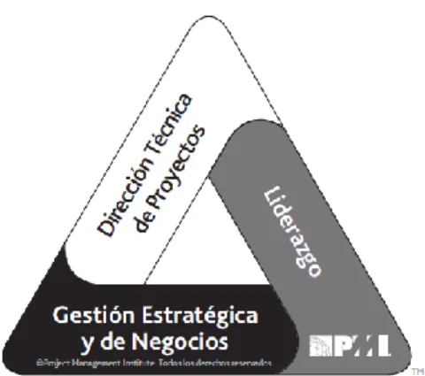 Figura 2.2: Triángulo de talentos del PMI ®
