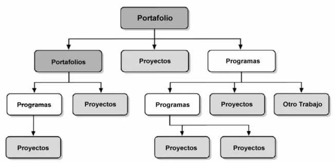 Figura 2.3: Portafolios, Programas y Proyectos 