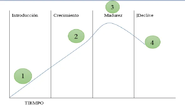 Figura 2 Ciclo de vida de microempresas. 