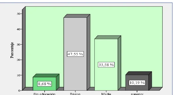 Tabla 4 Nivel de instrucción de microempresarios. 