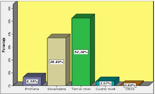 Gráfico 3: Nivel de instrucción 