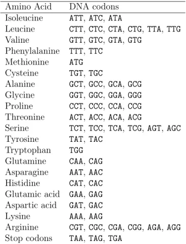 Table 2.2: Aminiacid/codon Translations Amino Acid DNA codons