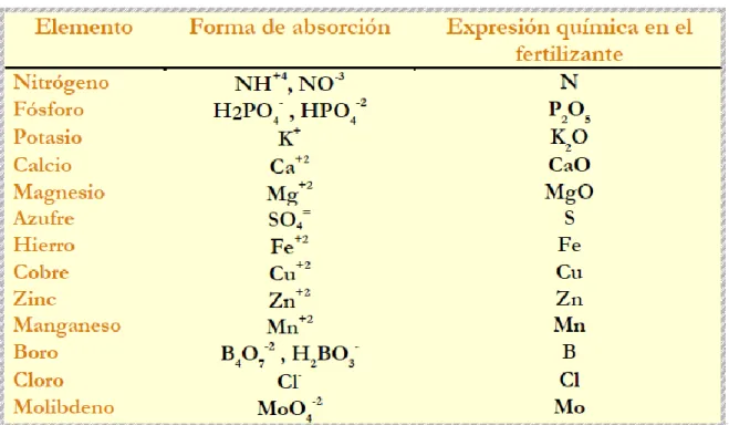 Figura  1.  Forma  de  los  elementos  para  la  absorción  de  nutrientes  por  parte  de  la  planta