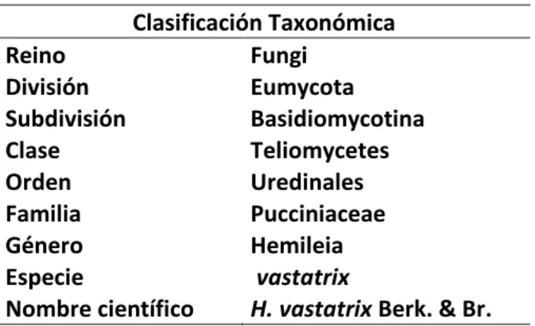 Cuadro 2.  Taxonomía de la Roya del cafeto  