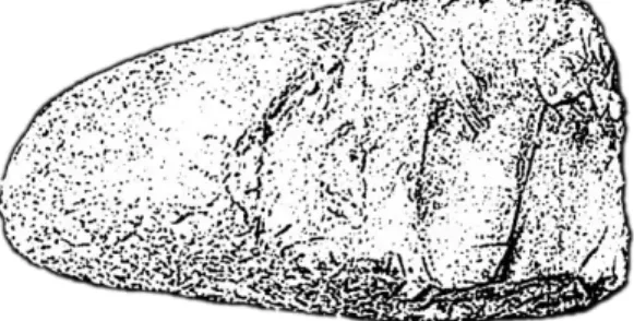 fig. 3  Huellas visibles. 
