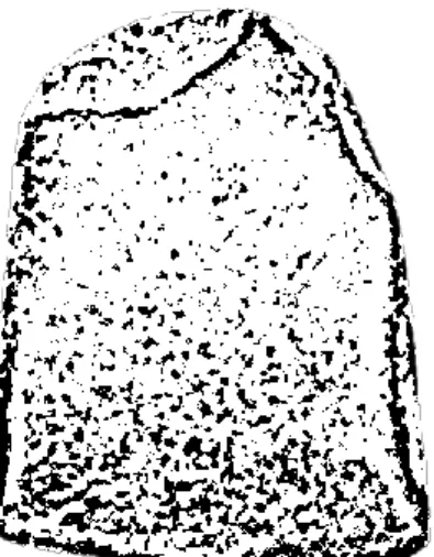 fig. 18  Huellas visibles. 