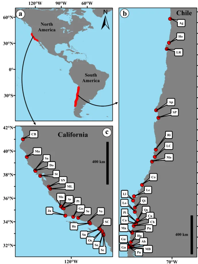 Fig 1. Location of the study beaches along the temperate coasts of the Eastern Pacific Ocean in Chile and California (a)