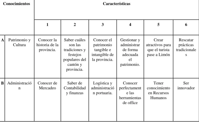 Tabla 101. Propuesta de perfil profesional 