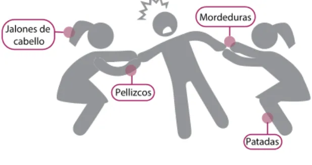 Figura 14. Crisis conductual
