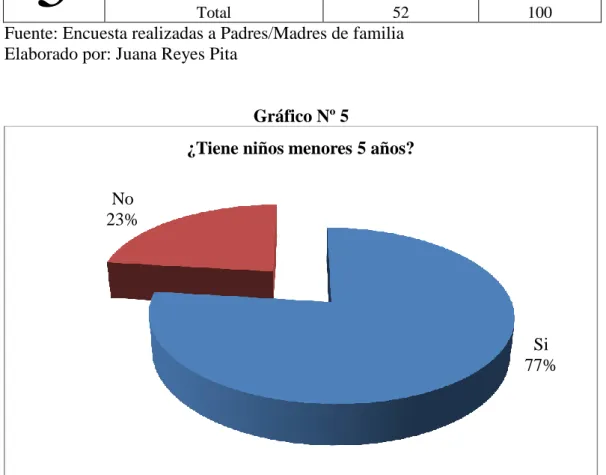 Gráfico Nº 5 