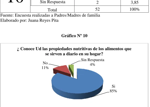 Gráfico Nº 10 