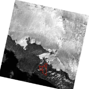 Figura 5. Banda número 7 de la imagen RT_LC80150532016024LGN00 del satélite Landsat 8
