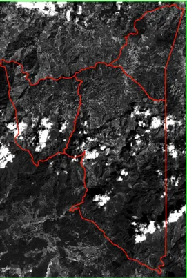 Figura 6. Polígono de corte (verde), cantón de Tarrazú (rojo), y corte de la banda 7 de la imagen  RT_LC80150532016024LGN00 del satélite Landsat 8