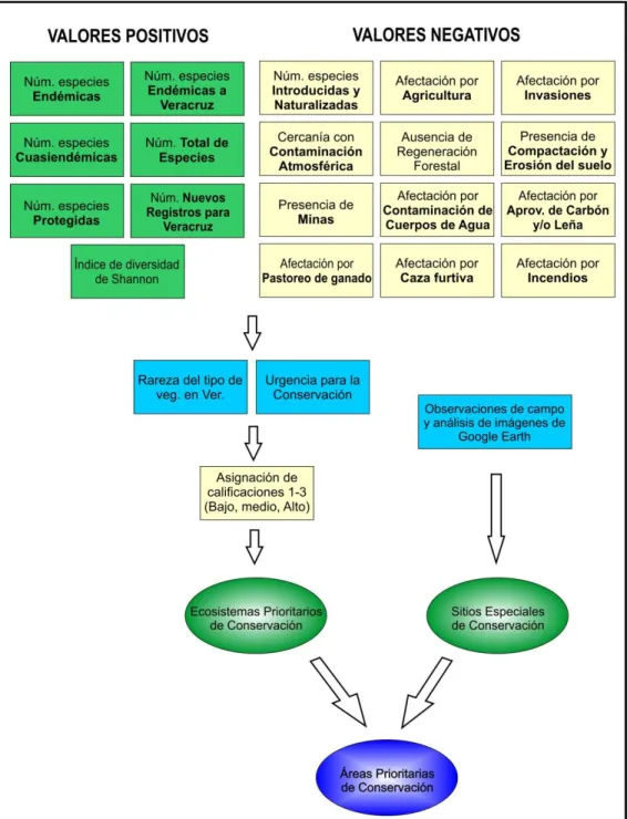 Figura  12.  Procedimiento  para  la  identificación  de  áreas  prioritarias  para  la  conservación en el Parque nacional Cañón del Río Blanco 