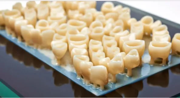 Figura 10. Placa de piezas dentales Perfactory 