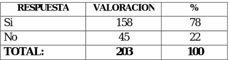 GRÁFICO Nº11 