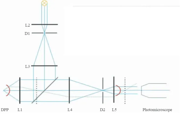 Figure 2.2 shows a modified epi-illumination microscope which is fundamental in the optics for the project.