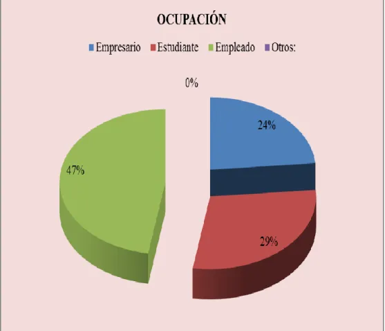 GRÁFICO 12  Ocupación del turista 