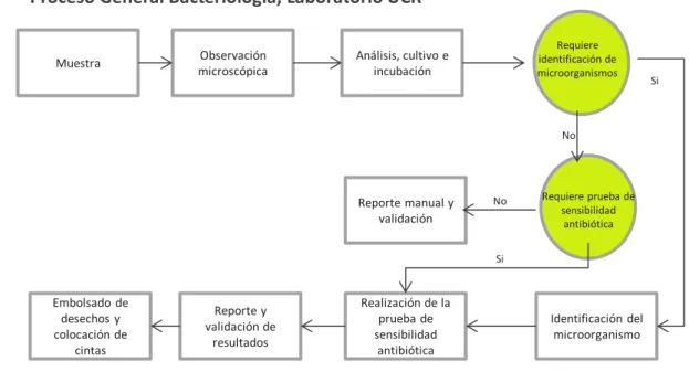 Figura 10: Proceso Bacteriología 