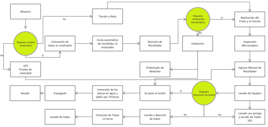 Figura 13: Proceso Hematología 