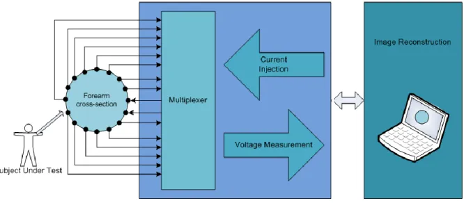 Figure 2-1.  Main components for electrical impedance tomography process. 