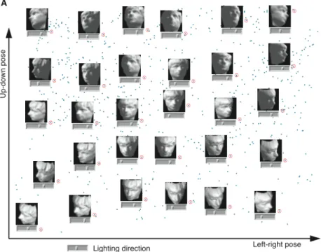 Figure 2.1: High 4096-dimensional input faces plotted in a lower 3-dimensional space (from [66] 