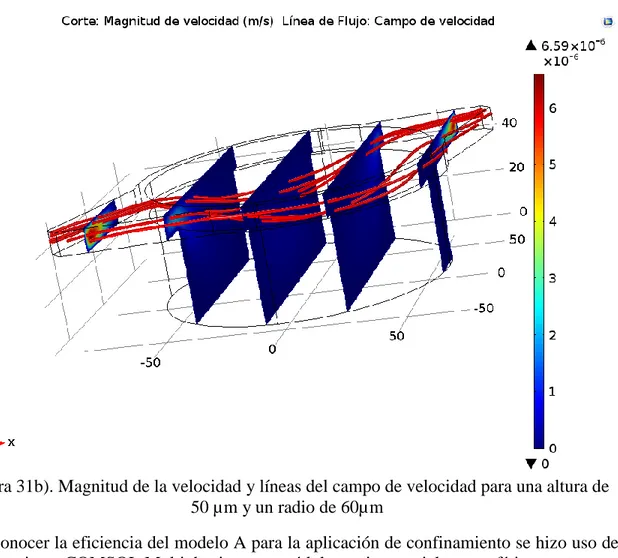 Figura 31b). Magnitud de la velocidad y líneas del campo de velocidad para una altura de  50 µm y un radio de 60µm 