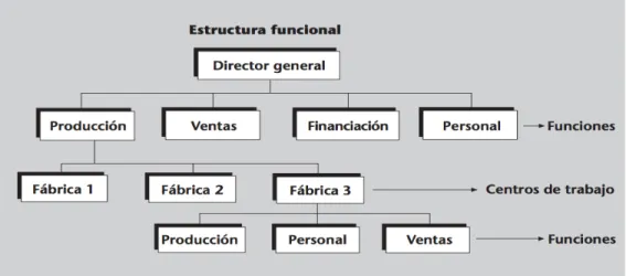 Figura 2.1 Estructura Funcional              Fuente: (Estallo, 2002) 