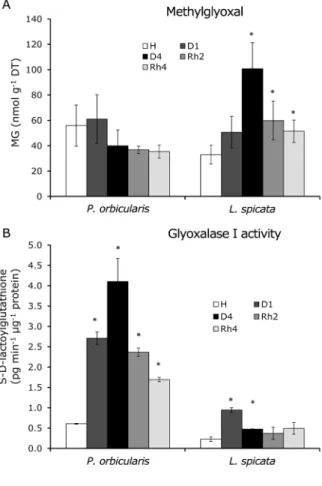 Figure 3. MG concentration (expressed in nmol g -1  DT) (A) and specific activity of GLO1  (expressed as S-D-lactoylglutathione pg min -1  µg -1 protein) (B) in P