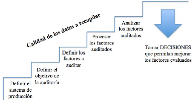 Figura Nº 2 Procedimiento general de implantación de una auditoría. Fuente: Ingeniería de  mantenimiento y fiabilidad en la gestión de activos, 2012