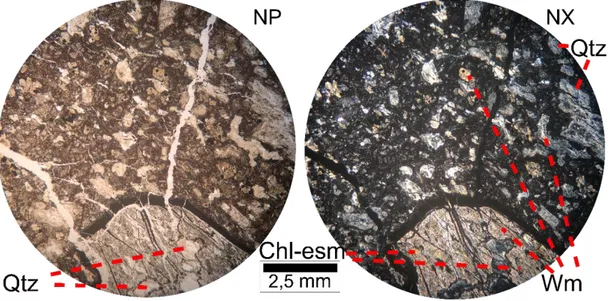 Figura 21. Microfotografías a nicoles paralelos (NP) y a nicoles cruzados (NX) de andesita de  anfíbol