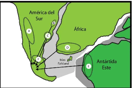 Figura  4.2:  Áreas  de  fuentes  sedimentarias  posibles  para  el  Complejo  Metamórfico  Andino  Oriental,  esquema realizado en base a Hervé et al., (2003) y Augustsson et al., (2006)