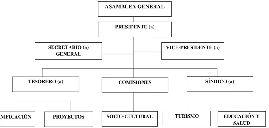 Gráfico N° 14 